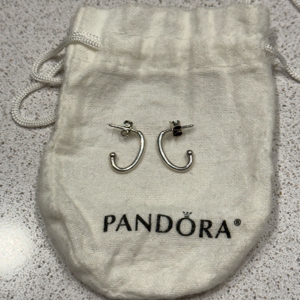 Pandora Silver Earrings for charms